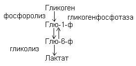 Биологическое окисление в клетке происходит в чем. image203. Биологическое окисление в клетке происходит в чем фото. Биологическое окисление в клетке происходит в чем-image203. картинка Биологическое окисление в клетке происходит в чем. картинка image203.