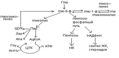 Биологическое окисление в клетке происходит в чем. image251. Биологическое окисление в клетке происходит в чем фото. Биологическое окисление в клетке происходит в чем-image251. картинка Биологическое окисление в клетке происходит в чем. картинка image251.