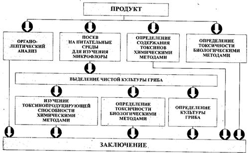 Пути загрязнения продовольственного сырья и пищевых продуктов проект