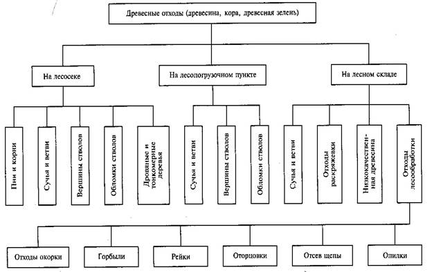 Проект технологического процесса лесозаготовительного предприятия