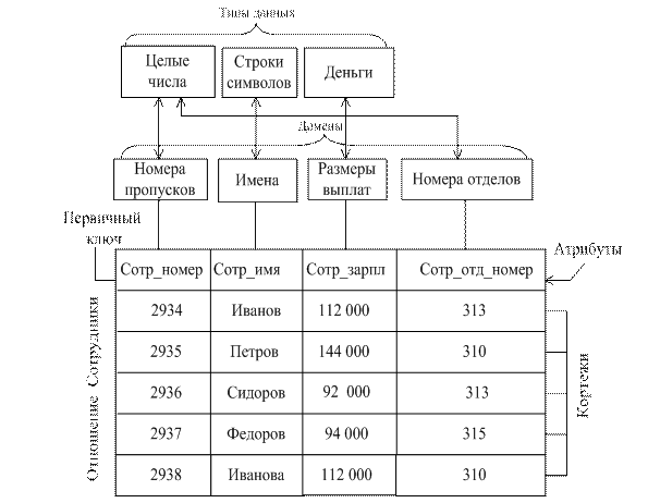 Типы данных домены атрибуты. Типы данных домены атрибуты