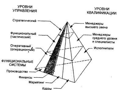 Что значит функциональные признаки. Смотреть фото Что значит функциональные признаки. Смотреть картинку Что значит функциональные признаки. Картинка про Что значит функциональные признаки. Фото Что значит функциональные признаки