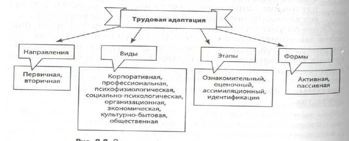 В чем заключается психофизический аспект адаптации. image020. В чем заключается психофизический аспект адаптации фото. В чем заключается психофизический аспект адаптации-image020. картинка В чем заключается психофизический аспект адаптации. картинка image020