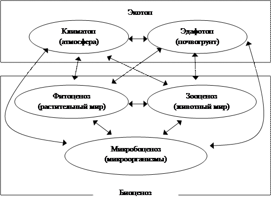 Причины смены биогеоценозов схема