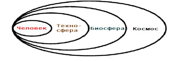 Проект на тему эволюция среды обитания переход к техносфере