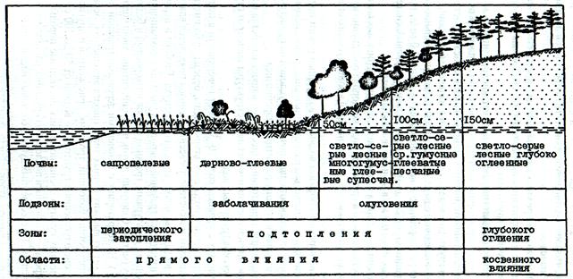 какие деревья укрепляют берег реки. Смотреть фото какие деревья укрепляют берег реки. Смотреть картинку какие деревья укрепляют берег реки. Картинка про какие деревья укрепляют берег реки. Фото какие деревья укрепляют берег реки
