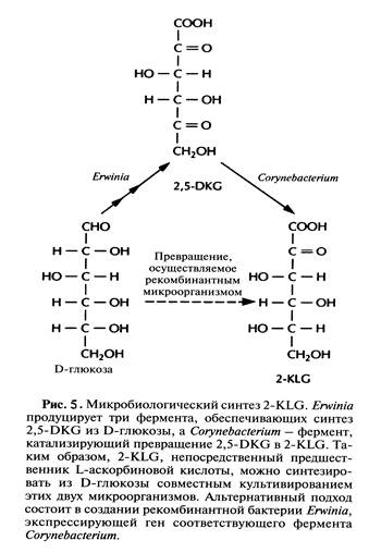 Технологическая схема производства аскорбиновой кислоты