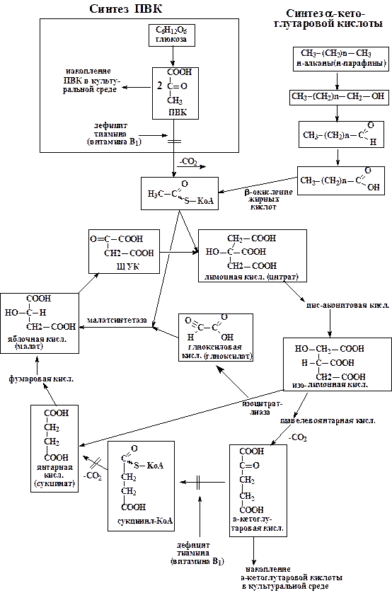 Лимонная кислота схема