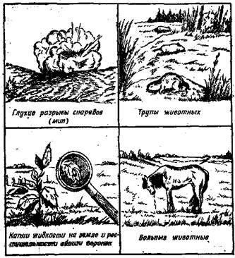 Внешние признаки применения биологического оружия схема