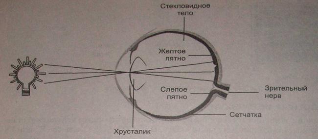 Обнаружение слепого пятна практическая