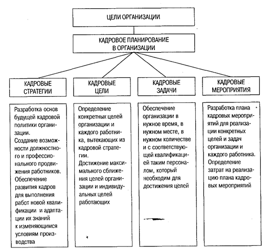 Кадровое планирование и его значение Кадровое планирование и его значение
