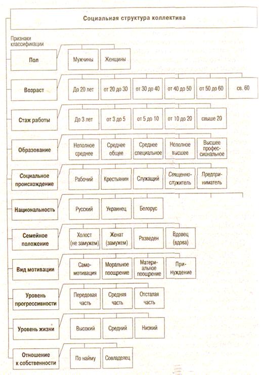 Структура коллектива схема