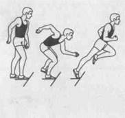 Основы техники барьерного бега в легкой атлетике