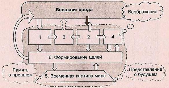 Что такое структура сознания. Смотреть фото Что такое структура сознания. Смотреть картинку Что такое структура сознания. Картинка про Что такое структура сознания. Фото Что такое структура сознания