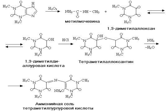Схема мурексидной пробы