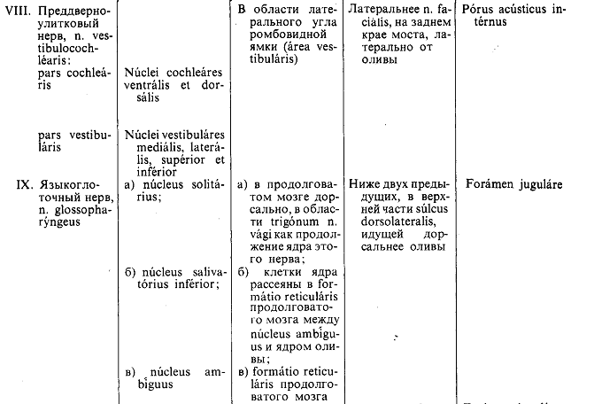Иннервация черепно мозговых нервов. Иннервация черепных нервов таблица. Ядра черепных нервов таблица. 12 Пар черепно мозговых нервов таблица ядра. Черепно-мозговые нервы 12 пар таблица.
