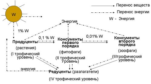 Предложите схему показывающую перенос энергии в экосистеме