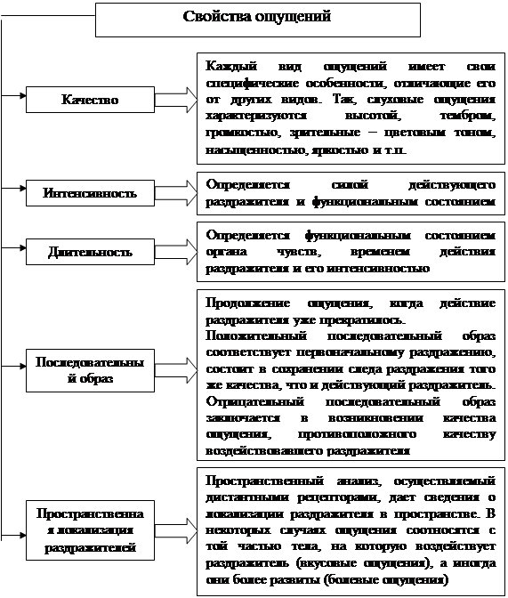 Свойствами ощущений являются. Основная характеристика ощущения в психологии. Свойства и характеристики ощущений в психологии. Общая характеристика ощущений психология. Основные характеристики ощущений в психологии.