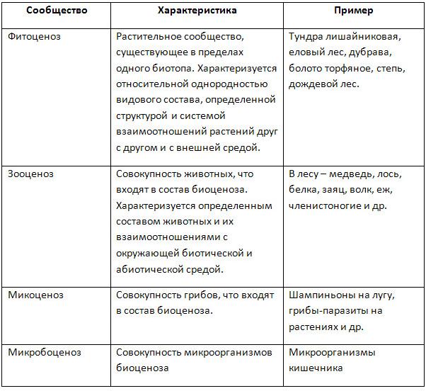 Характеристика природных сообществ 5 класс. Структура экологической системы таблица. Экологические сообщества таблица. Экологические сообщества таб. Таблица структура экосистем таблица.
