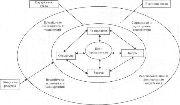 Организация ее внутренняя и внешняя среда
