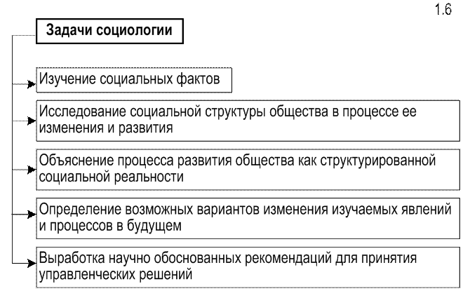 Различия между двумя важнейшими социологическими категориями очень простое план текста