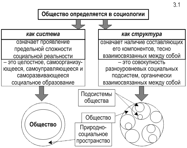 Структура общества схема