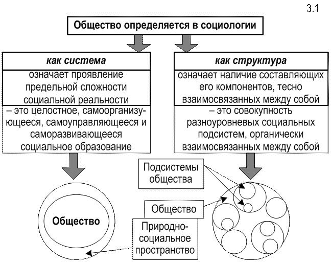 Общество понятие как система элементы