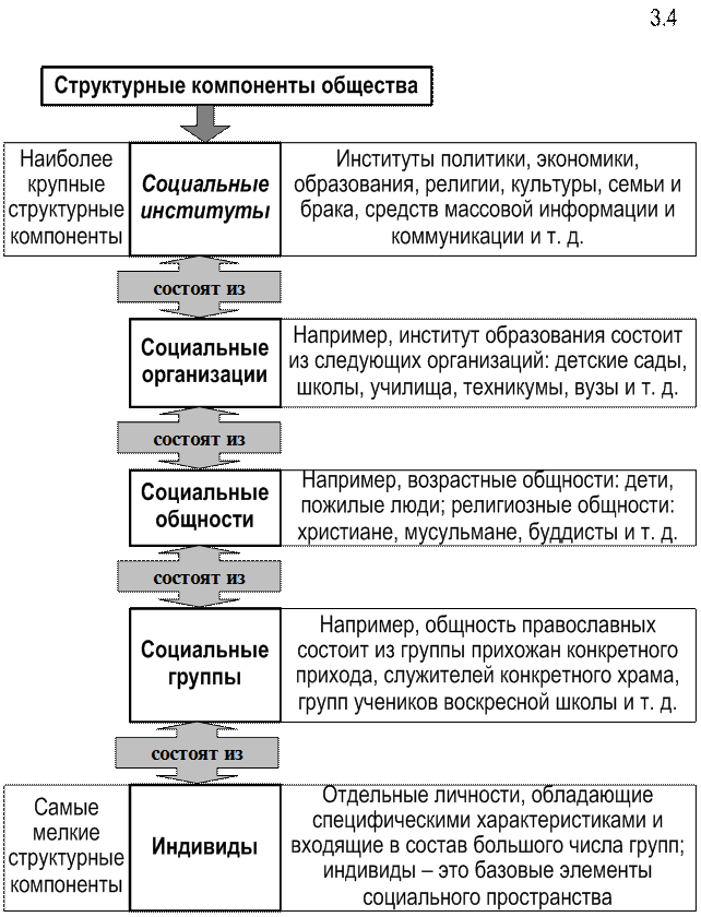 Элементы и уровни общества