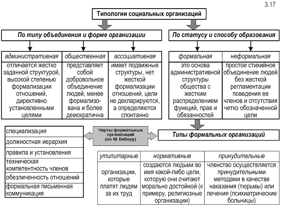 Понятие структура виды общества