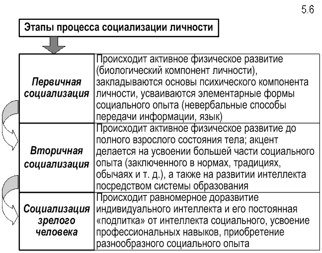 Содержание процесса развития личности. Основные этапы (стадии) социализации индивида.. Стадии развития личности в процессе социализации. Процесс социализации личности: основные стадии.. Этапы процесса социализации личности.