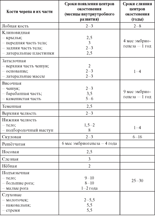 Кости лицевого отдела черепа формируются раньше чем мозгового. Смотреть фото Кости лицевого отдела черепа формируются раньше чем мозгового. Смотреть картинку Кости лицевого отдела черепа формируются раньше чем мозгового. Картинка про Кости лицевого отдела черепа формируются раньше чем мозгового. Фото Кости лицевого отдела черепа формируются раньше чем мозгового