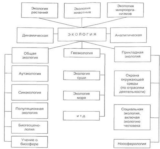 Составьте таблицу схему характеризующую современные экологические проблемы разного масштаба