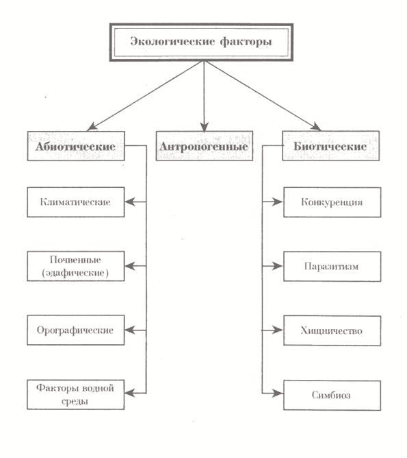 Классификация экологических факторов определение пример