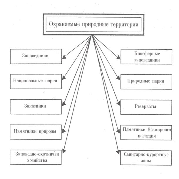 Виды оопт схема