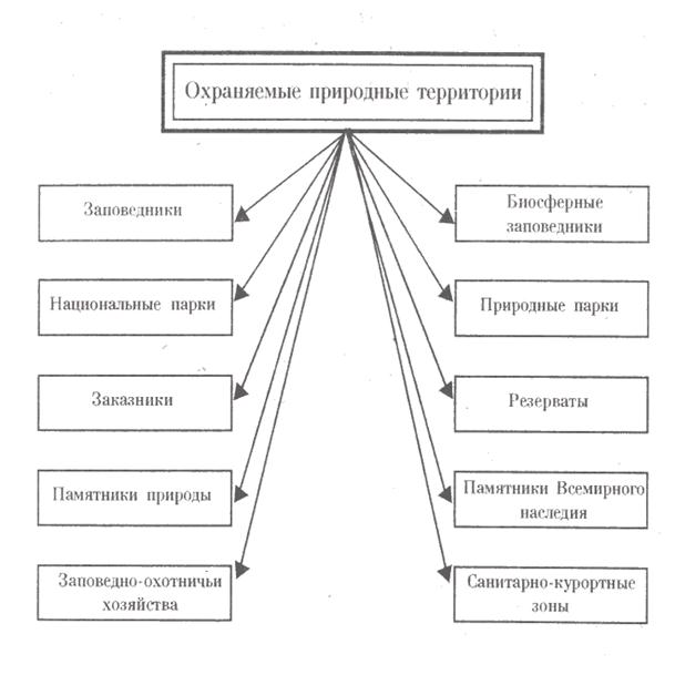 Таблица охраняемые территории россии. Особо охраняемые природные территории схема. Схему: «виды особо охраняемых природных территорий». Категории ООПТ схема. Классификация ООПТ России.