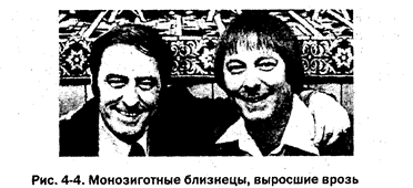 какие два основных подхода чаще всего выделяют в отношении проблемы биологического и социального. Смотреть фото какие два основных подхода чаще всего выделяют в отношении проблемы биологического и социального. Смотреть картинку какие два основных подхода чаще всего выделяют в отношении проблемы биологического и социального. Картинка про какие два основных подхода чаще всего выделяют в отношении проблемы биологического и социального. Фото какие два основных подхода чаще всего выделяют в отношении проблемы биологического и социального