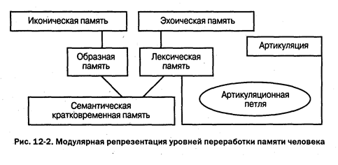 уровни переработки информации в памяти и соответствующие им коды. image140. уровни переработки информации в памяти и соответствующие им коды фото. уровни переработки информации в памяти и соответствующие им коды-image140. картинка уровни переработки информации в памяти и соответствующие им коды. картинка image140. Накопленные экспериментальные данные не позволяли интерпретировать резуль­таты работы мнемической системы, исходя только из характеристик сигнала (его мо­дальности и длительности переработки). В методологии психологической науки про­изошел коренной перелом после того, как в 1972 г. Крэйк и Локхарт разработали новый подход к пониманию сущности процесса переработки информации. Они пред­ложили выделить уровни обработки информации. Каждый стимул может обрабаты­ваться на разных уровнях: начиная с перцептивного и заканчивая более глубоким абстрактным. Оказалось, что некоторые виды памяти соответствуют разным уров­ням обработки информации. На каждом из уровней может использоваться тот или иной код (зрительный, слуховой), однако характер переработки информации опре­деляется не только кодом поступающей информации, но и сочетанием кода с уров­нем переработки.