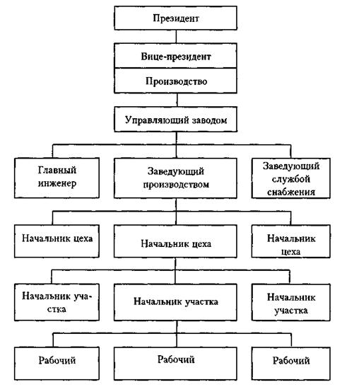 Структурно функциональная функциональная деятельности модель: найдено 72 изображ