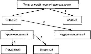 по и п павлову спокойный всегда ровный настойчивый и упорный труженик жизни это. Смотреть фото по и п павлову спокойный всегда ровный настойчивый и упорный труженик жизни это. Смотреть картинку по и п павлову спокойный всегда ровный настойчивый и упорный труженик жизни это. Картинка про по и п павлову спокойный всегда ровный настойчивый и упорный труженик жизни это. Фото по и п павлову спокойный всегда ровный настойчивый и упорный труженик жизни это