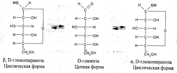 Таутомерная форма моносахаридов. Сахароза состоит из остатков глюкозы и фруктозы. Формулы фишера колли-толленса и хеуорса. Фруктоза линейная и циклическая формулы. Открытая и циклическая форма глюкозы.