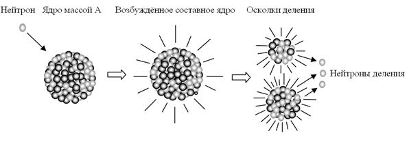 Определите реакция деления какого ядра произошла под действием нейтрона по схеме azx 10n