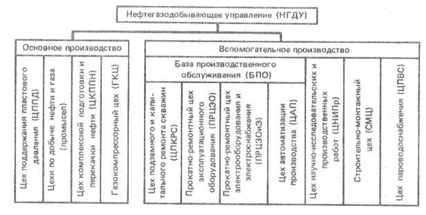 Организационная управленческая структура нгду. Татбурнефть организационная структура. Производственная структура цднг схема. Организационная структура предприятия нгду. Организационная структура газодобывающего предприятия.
