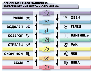 Тонком 7 7 мм