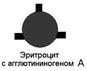 Что такое система аво. Смотреть фото Что такое система аво. Смотреть картинку Что такое система аво. Картинка про Что такое система аво. Фото Что такое система аво