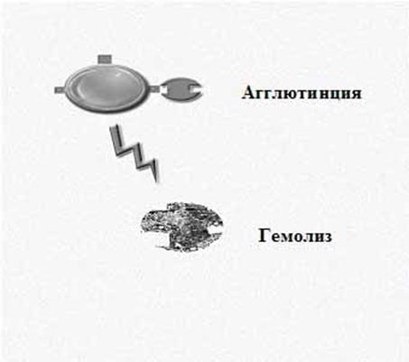 Что такое система аво. Смотреть фото Что такое система аво. Смотреть картинку Что такое система аво. Картинка про Что такое система аво. Фото Что такое система аво