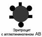 Что такое система аво. Смотреть фото Что такое система аво. Смотреть картинку Что такое система аво. Картинка про Что такое система аво. Фото Что такое система аво