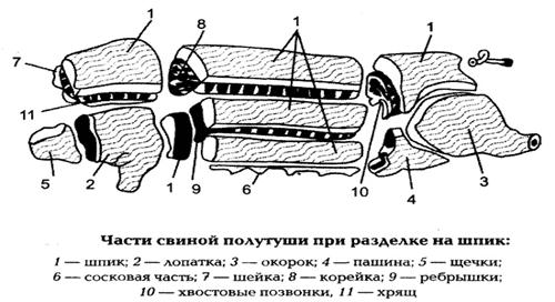 Схема разделки свиной полутуши