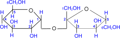 Сахароза+ вода. Трисахариды образованный остатками α-Глюкозы. Водная связь у сахарозы. Гидролизу подвергается глюкоза рибоза фруктоза