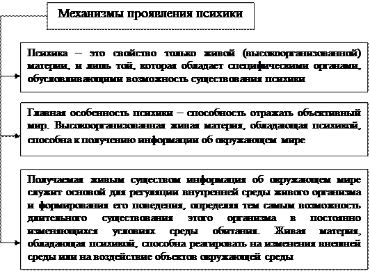 Структура отражает проблемы развития общества