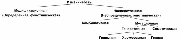 Схема изменчивость наследственная изменчивость